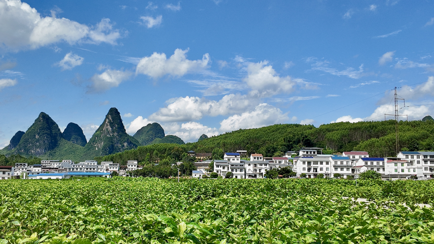 edcc0c855a6244c08ba56acfbbce08c5.png edcc0c855a6244c08ba56acfbbce08c5.png