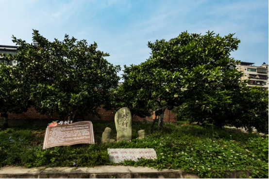 微信圖片_2025-11-03_095947_938.png 微信圖片_2025-11-03_095947_938.png