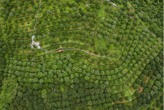 微信圖片_2025-11-03_095952_945.png 微信圖片_2025-11-03_095952_945.png