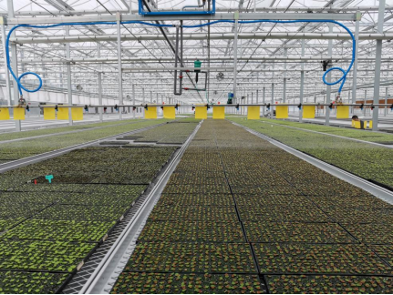 c065bb9b9de1422b95c20ed3880ac47a.png c065bb9b9de1422b95c20ed3880ac47a.png