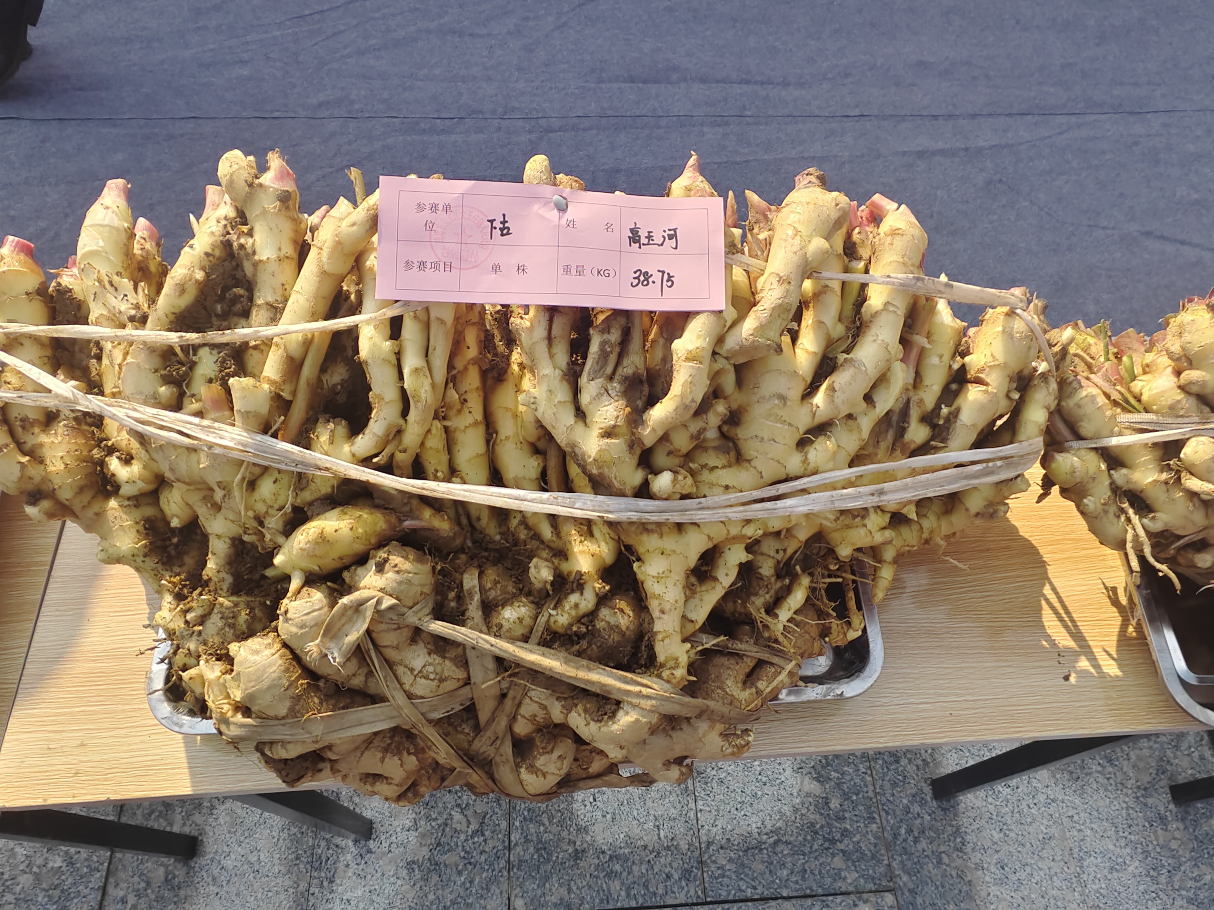 38.75千克！11月5日大王庄生姜大王评选现场，2025年“生姜大王诞生。.jpg