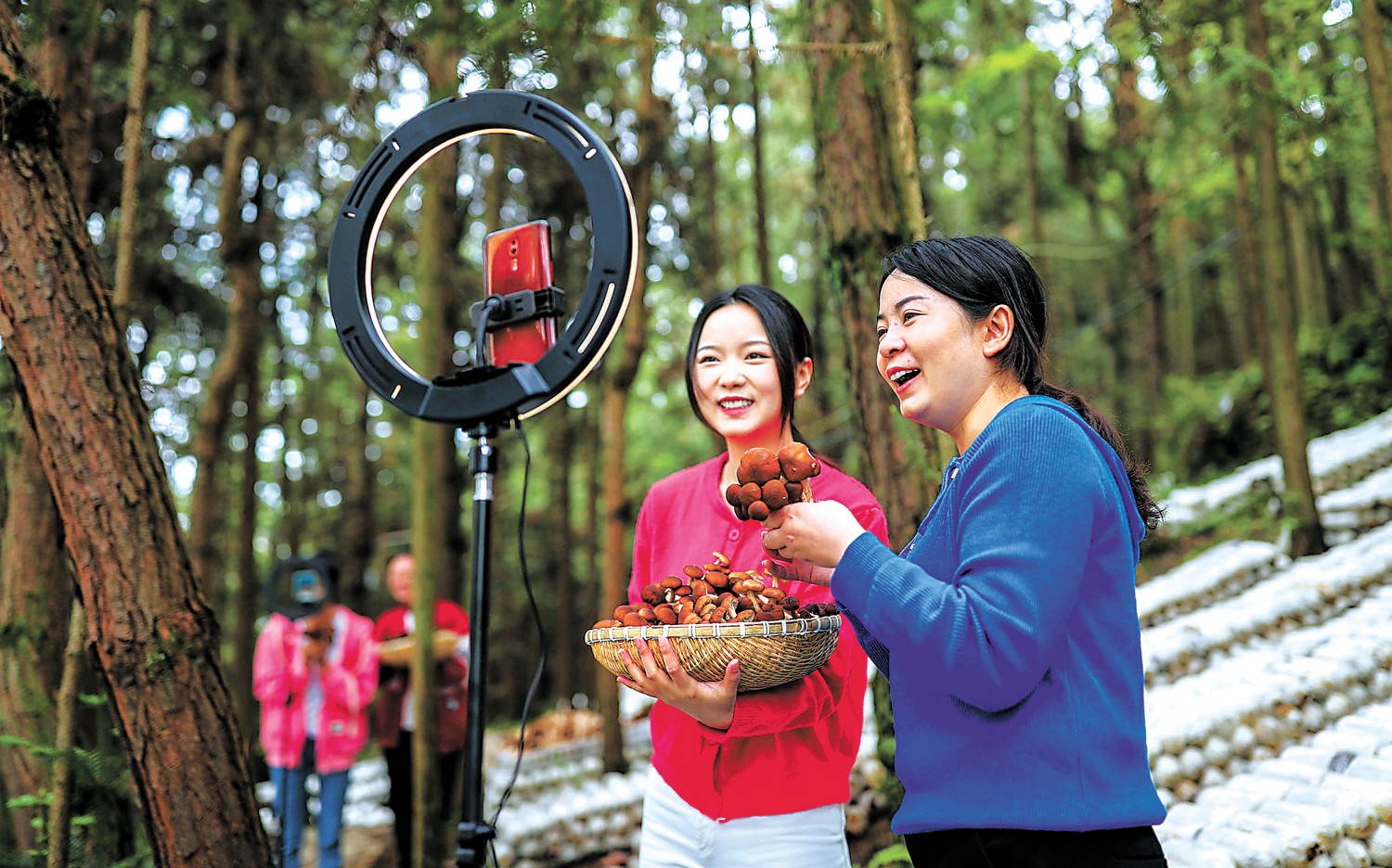 b13ba3db69d746c39ffe3b6ec4bd1d4c.jpeg b13ba3db69d746c39ffe3b6ec4bd1d4c.jpeg