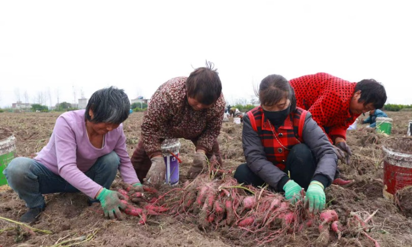 02c267609cf14aea801b93a0fc87042e