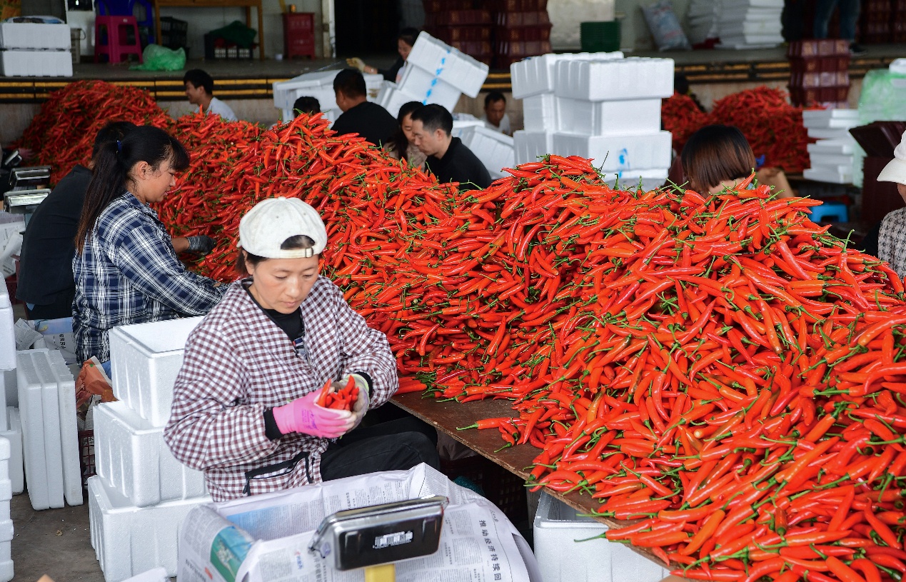 云南玉溪五年的奋进答卷