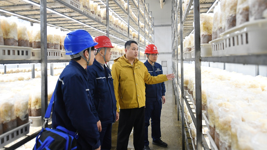 efe1322089ab44a68762f5d3013a126e.png efe1322089ab44a68762f5d3013a126e.png