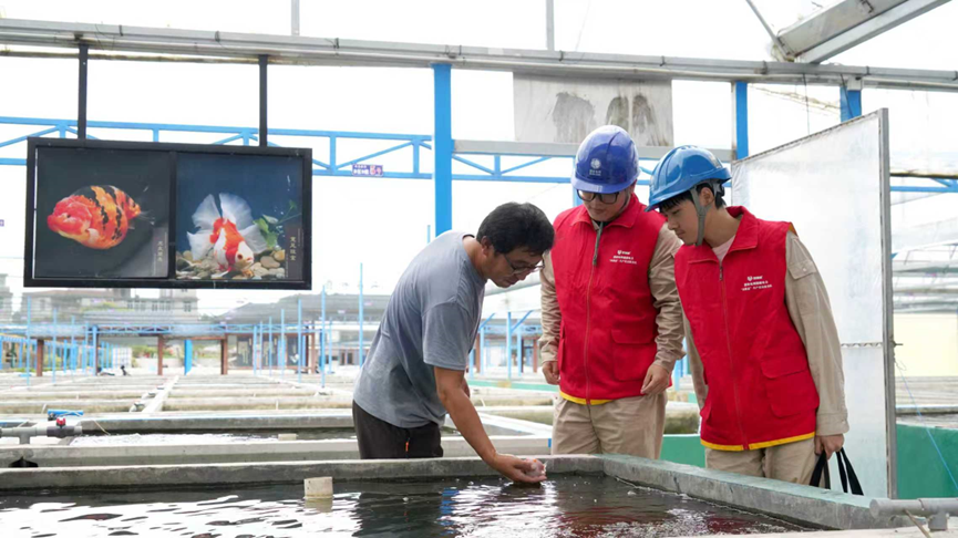 f362f053956043d3adc31ef2c81a1cdb.png f362f053956043d3adc31ef2c81a1cdb.png