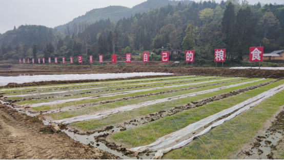 28b777e234d344bd959213f6cdbbe18f.png 28b777e234d344bd959213f6cdbbe18f.png