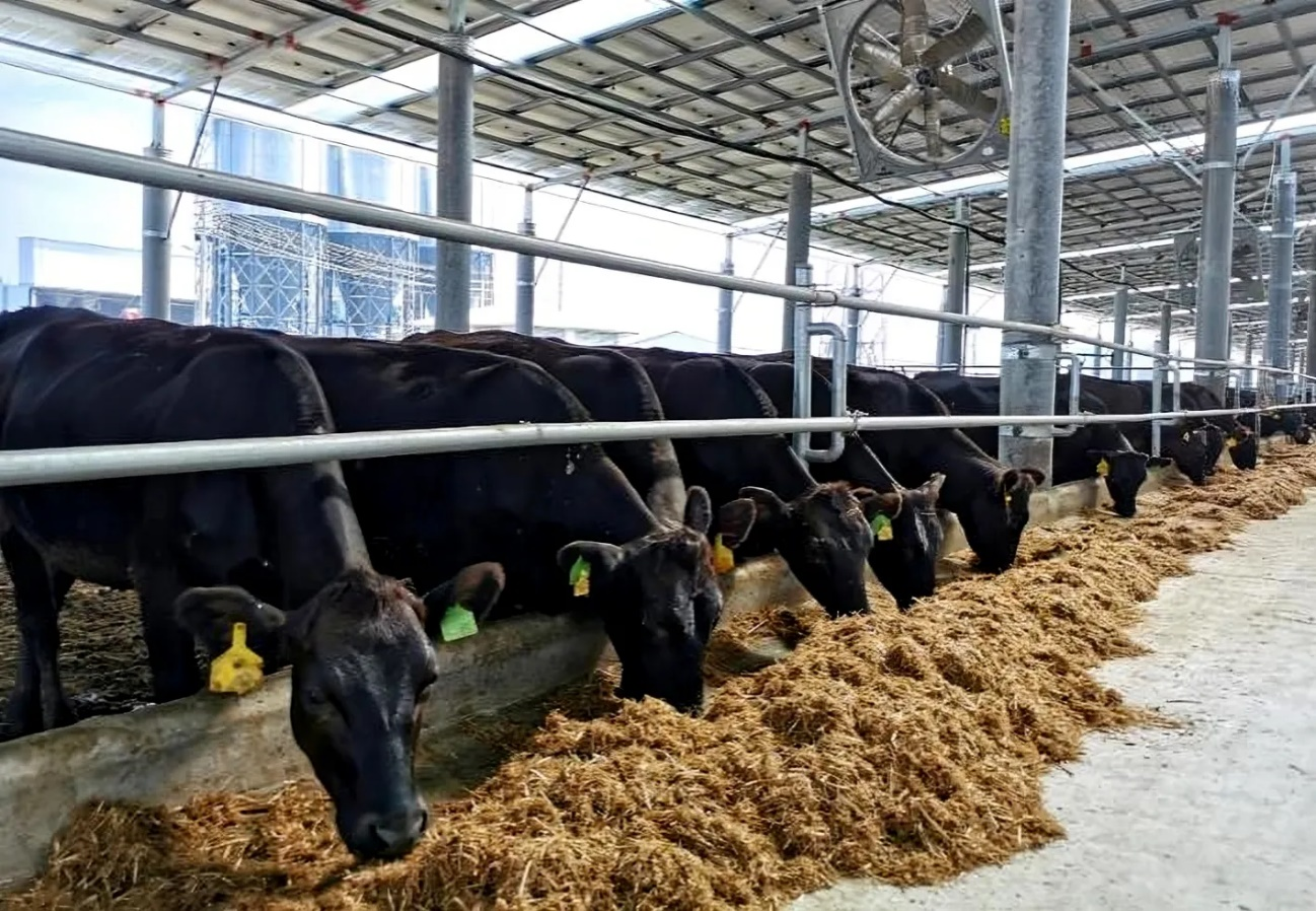 图片1.png 3.png 602de3aae3a34ac8975422ccd176138d.png