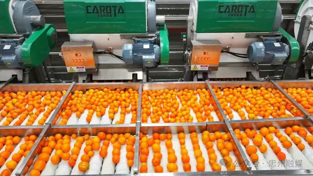 2db7048490d64578a587f46aea39ca06.png 2db7048490d64578a587f46aea39ca06.png