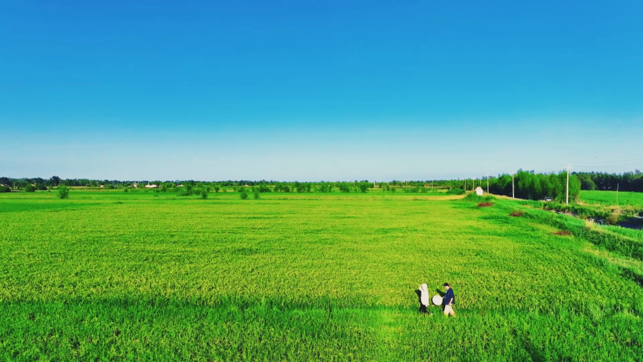 图片.png 73795ab059c44247a19bbb0f00f8818b.png