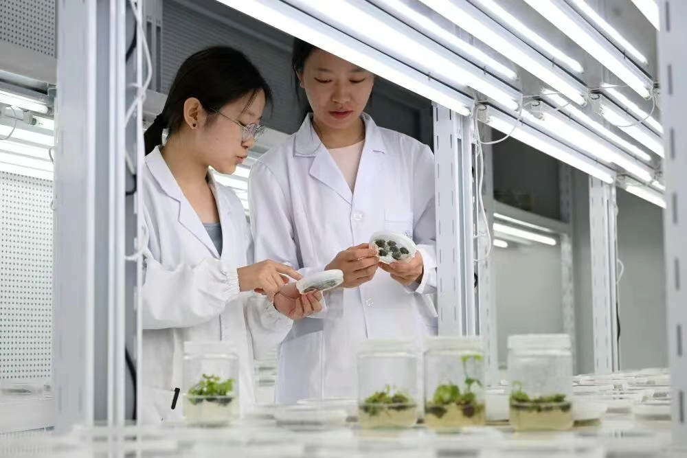 422b1de36c27468da9fa6b52a94d42da.png 422b1de36c27468da9fa6b52a94d42da.png