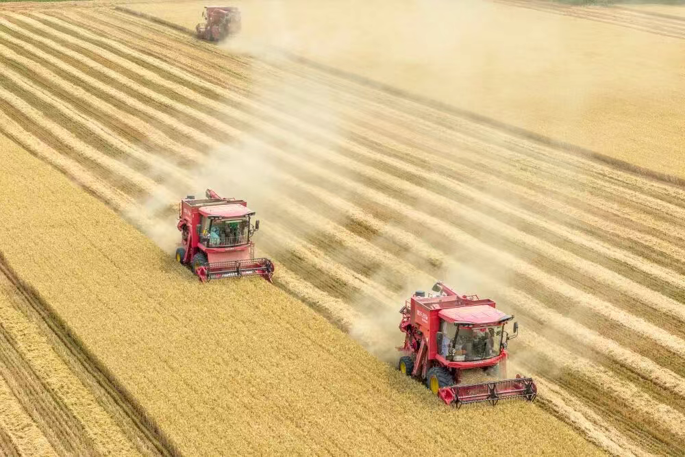 69b6b4087b15433e934bbdd57a1365e0.png 69b6b4087b15433e934bbdd57a1365e0.png