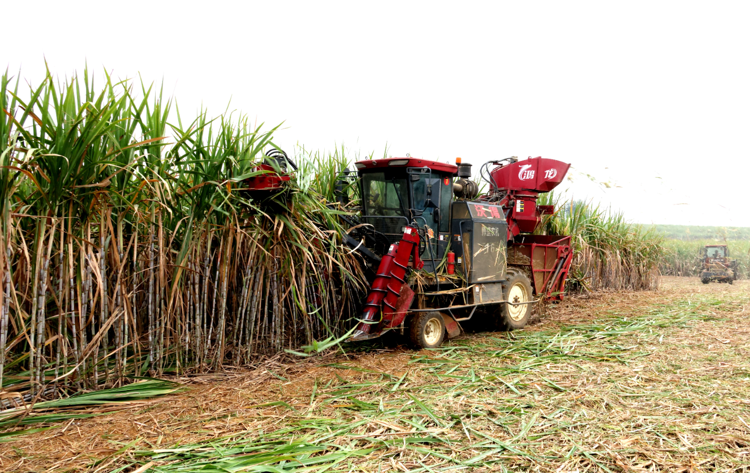 236909a8da694811bf5d476f22e539c7.jpeg 236909a8da694811bf5d476f22e539c7.jpeg