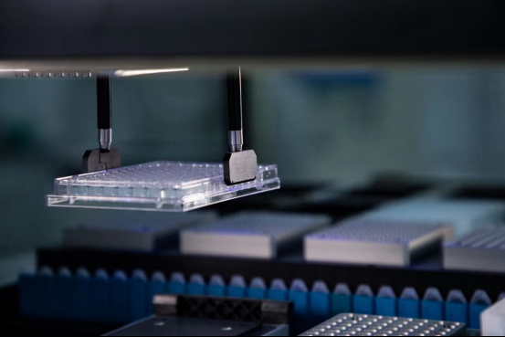 b0cc91e43cc541fdb01cf146f99e2dda.jpeg b0cc91e43cc541fdb01cf146f99e2dda.jpeg