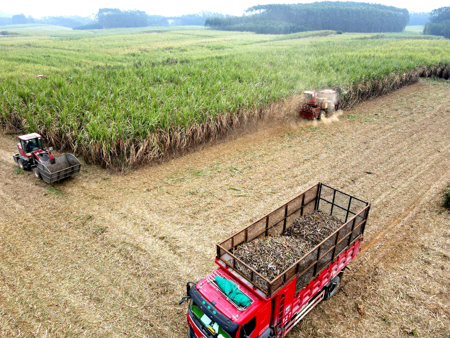 fb23d8b411fb4b9ba72784724c4af62f.jpeg fb23d8b411fb4b9ba72784724c4af62f.jpeg