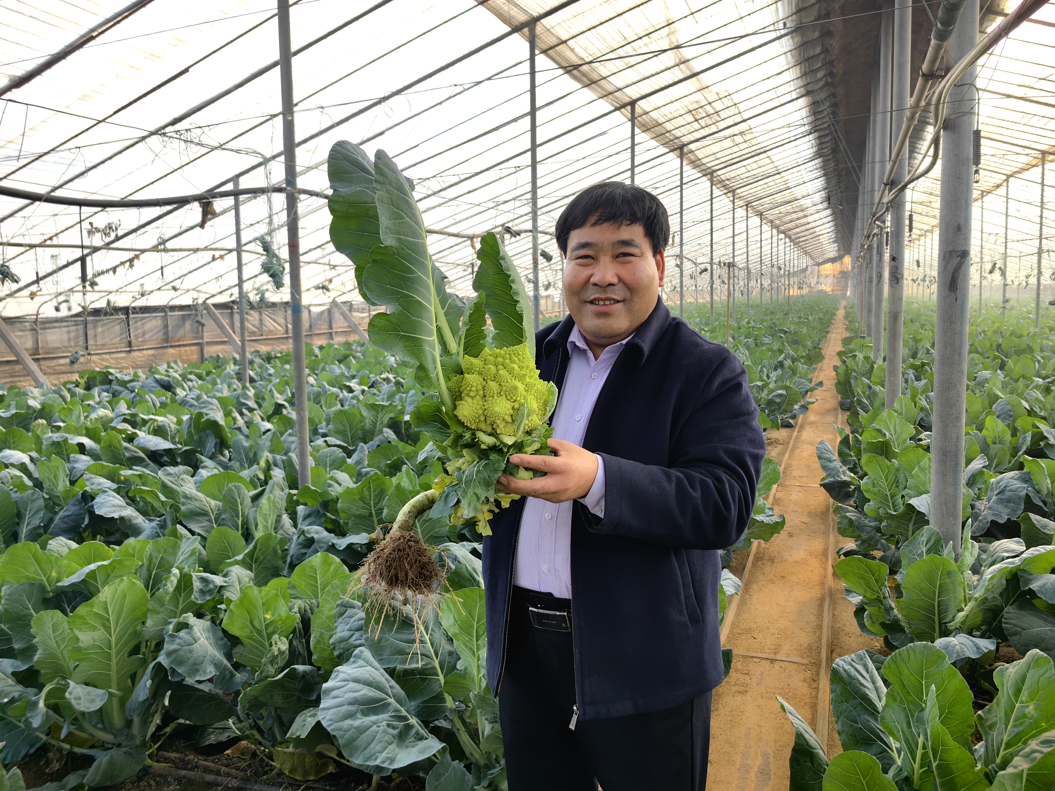 图片2.png b7f758215bd943bd976253fc8da31837.png