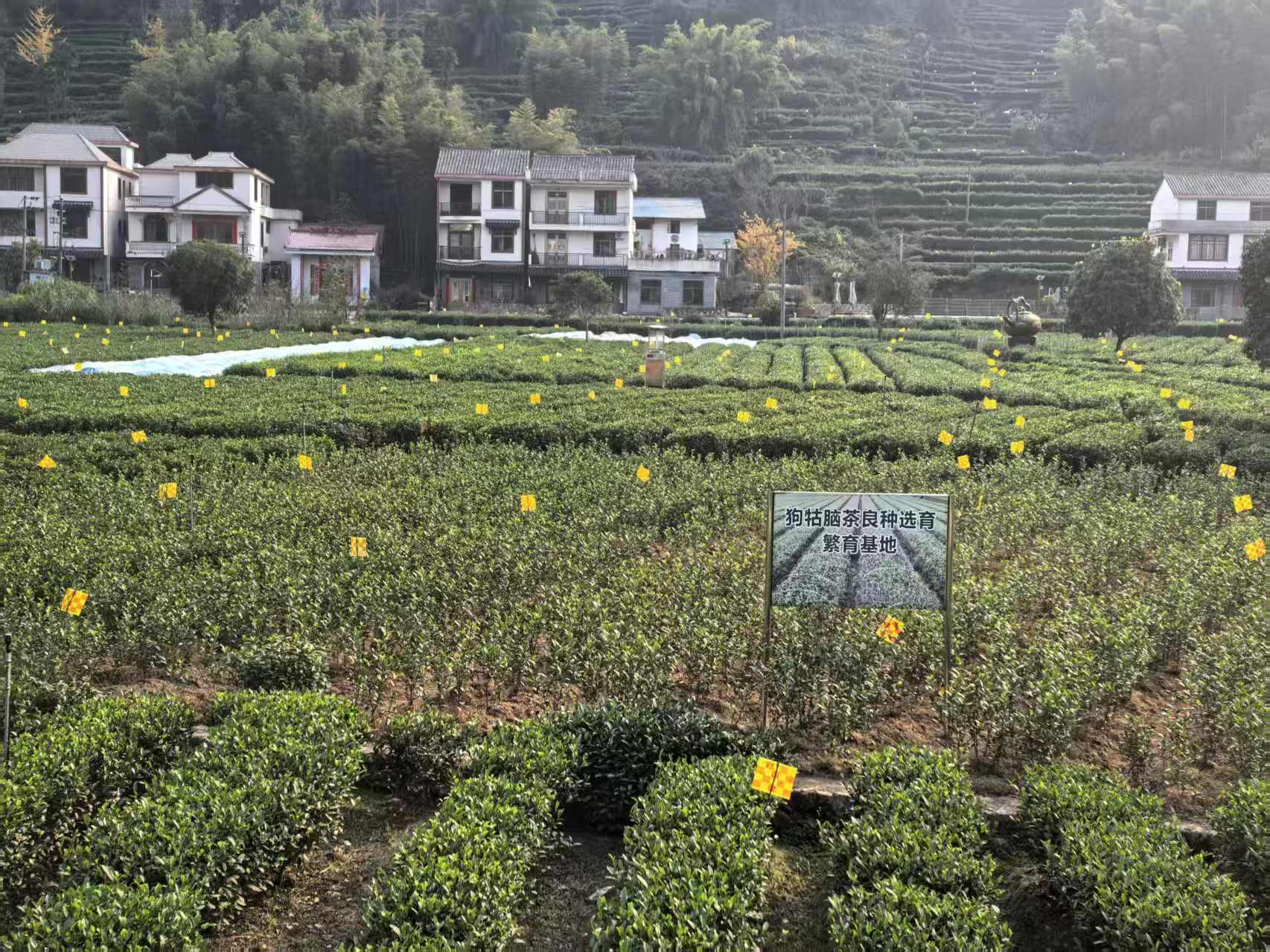 微信圖片_20251216150743.jpg 微信圖片_20251216150743.jpg