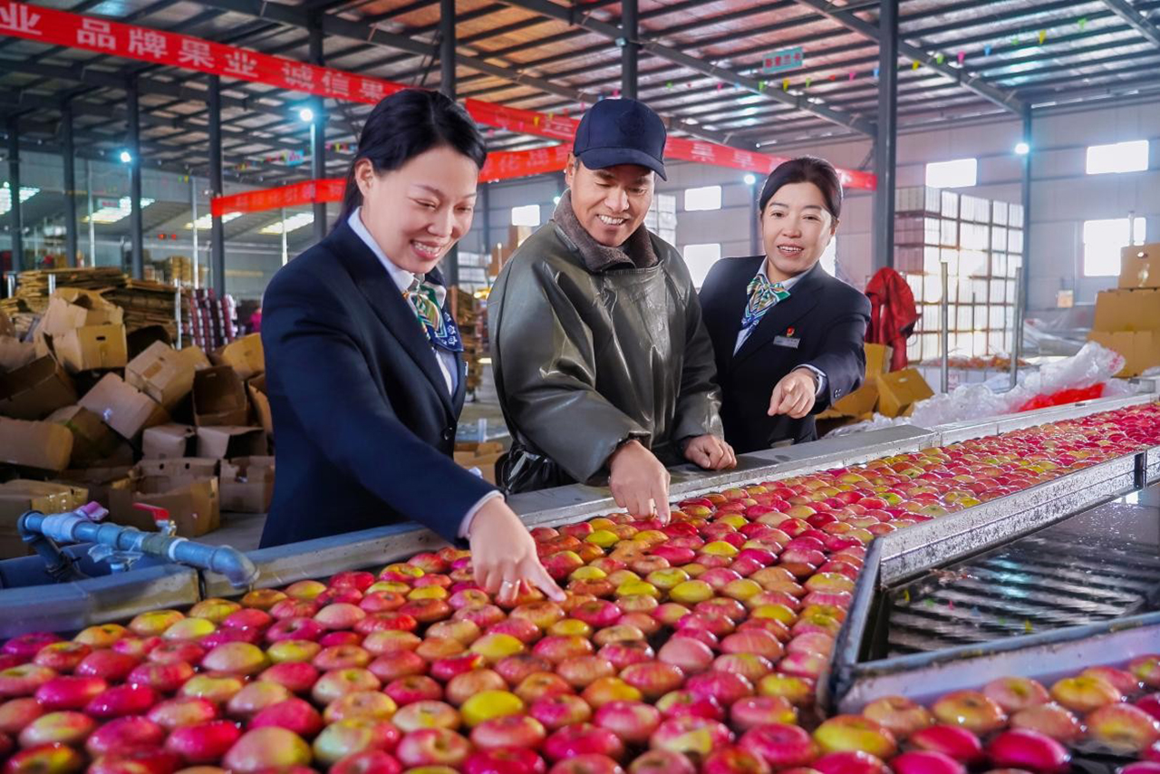 001 拷贝.jpg 30da74ba49a64c7bb09350de4015dc84.jpeg