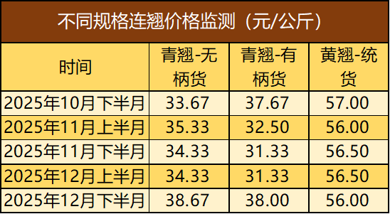 55dde2ee65df4459a150d0f383e4c0f0.png 55dde2ee65df4459a150d0f383e4c0f0.png