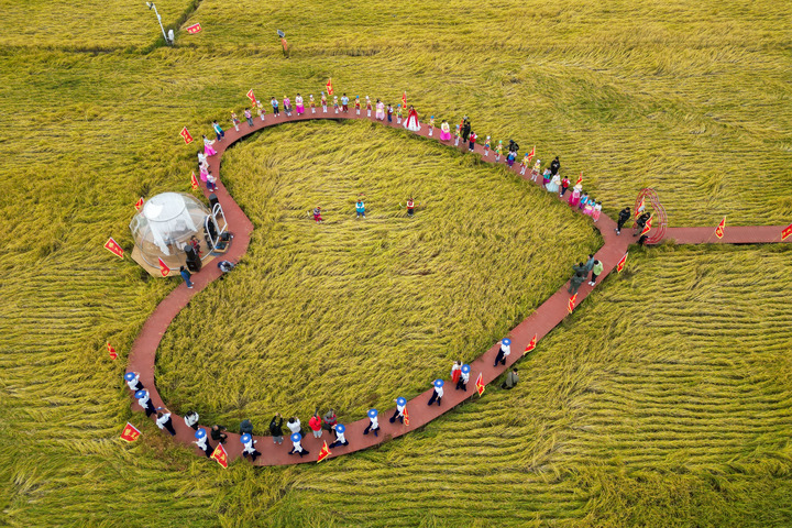 图片8.png 07e7b1f078934044b5f4edb2aeab3992.png