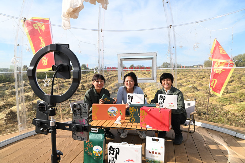 图片6_副本.jpg 147f700b4fc44728b37814e2e36eeba1.jpeg