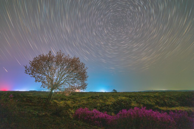 图片1.png 24c4b043c5a1403fb9054164cc65d0b6.png