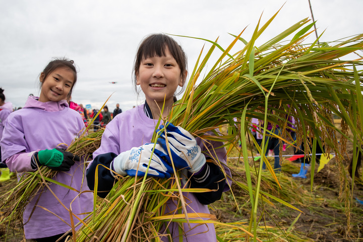 图片3.png d7655a4144ad4c189c7e603ddac28d52.png