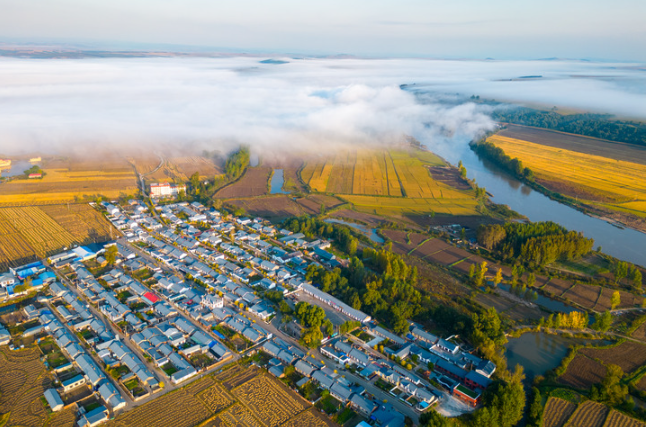 图片7.png f63a8df41dbb41aeb6b2a43499e5acd1.png