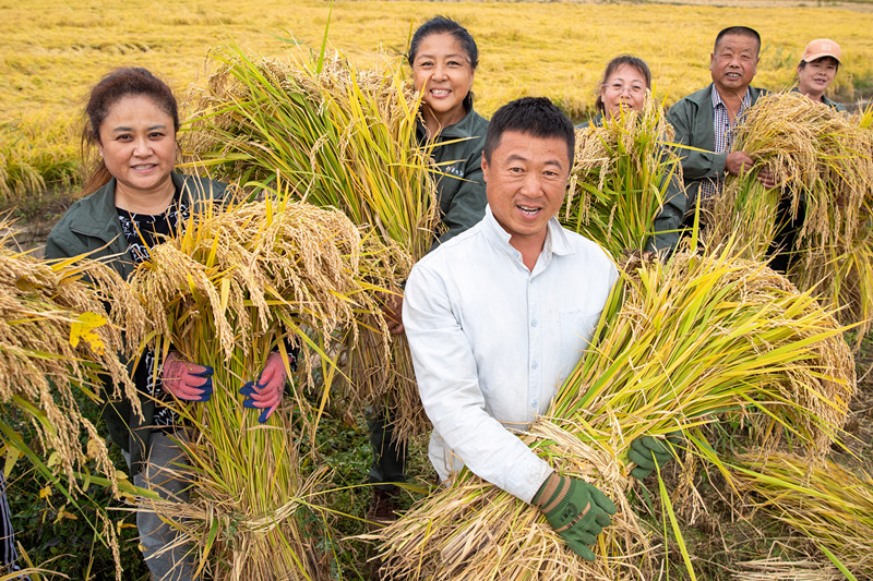 图片4_副本.jpg f78f79bd72724b2a9b4ccee2d606e40e.jpeg