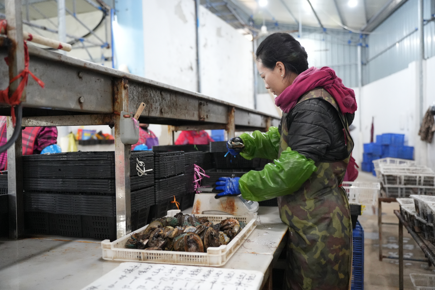 17803c9b476646a68e13f3c44a87af92.jpeg 17803c9b476646a68e13f3c44a87af92.jpeg