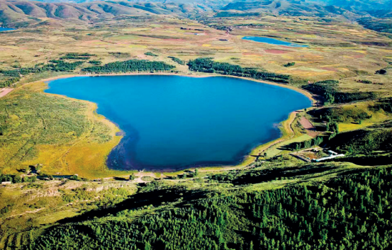 30f28213ec324eae8e4d9ae60b173dd5.png 30f28213ec324eae8e4d9ae60b173dd5.png