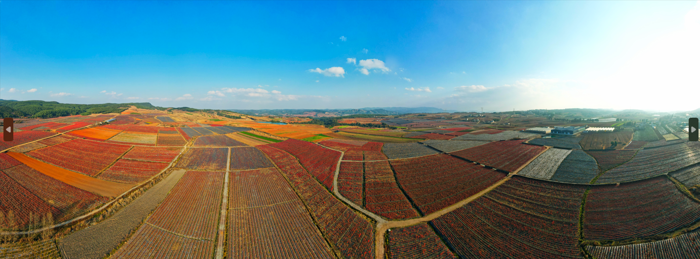 QQ_1769139889009.png ffbf8bdc06bf44488d5e649b21d21ef8.png