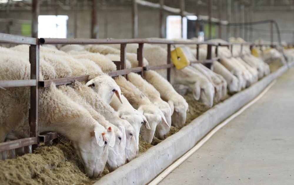 bacf48bfc9664d2392e3885bcccec0d7.jpeg bacf48bfc9664d2392e3885bcccec0d7.jpeg