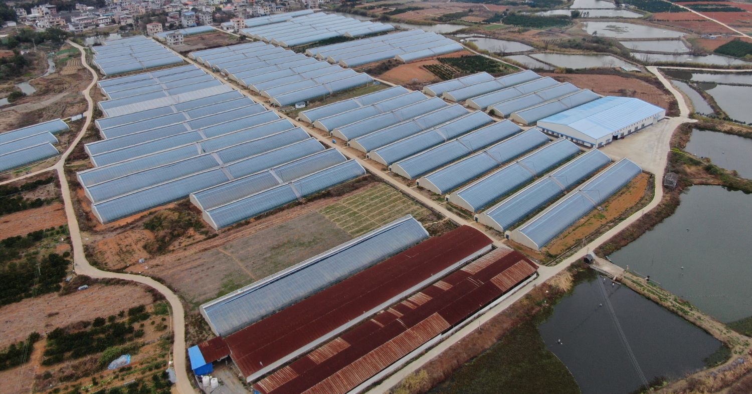 d16c31b1d3594da4bb8e2ca5baf22240.jpeg d16c31b1d3594da4bb8e2ca5baf22240.jpeg