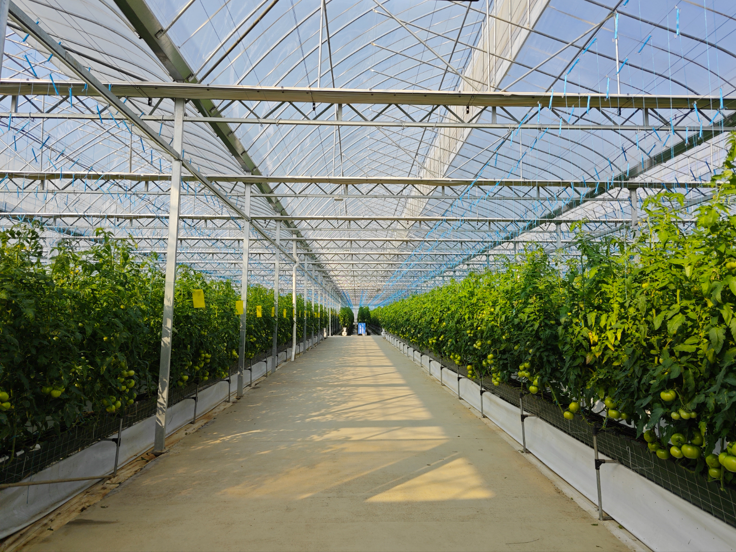 ebdc2680ceab4af38e3f0c9c9eb094d4.jpeg ebdc2680ceab4af38e3f0c9c9eb094d4.jpeg