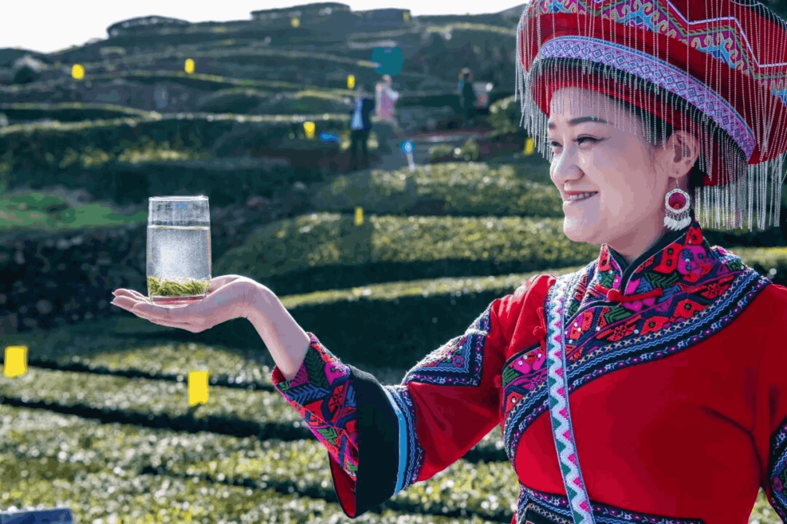 01543aef6f664498b6e3896a07e79d75.png 01543aef6f664498b6e3896a07e79d75.png