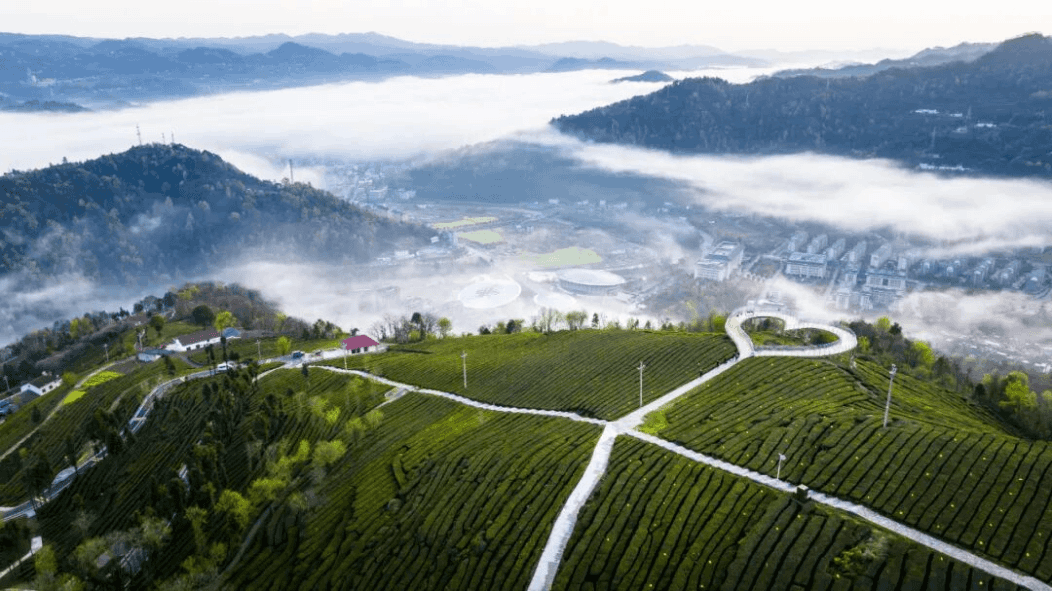 0159f786f5f14adfb57f68c3ca1a5151.png 0159f786f5f14adfb57f68c3ca1a5151.png