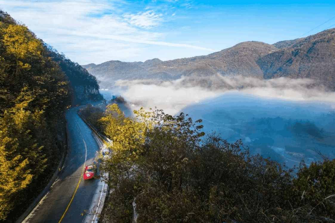 17359d933ac74f569ad08e323744811a.png 17359d933ac74f569ad08e323744811a.png