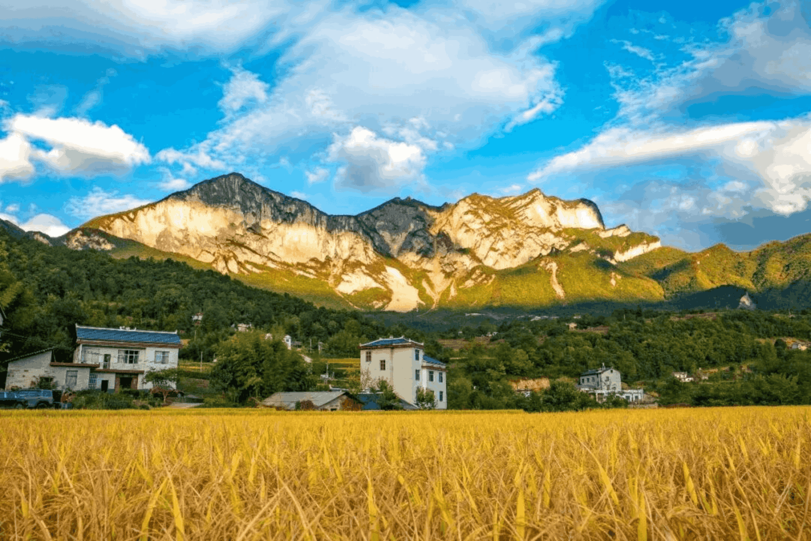 3a10d56650714ec1bce85649a7797fb3.png 3a10d56650714ec1bce85649a7797fb3.png