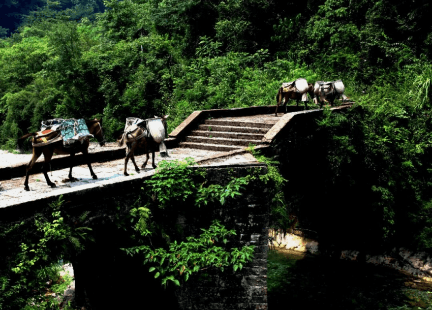 8d9e93d11ff14167abbda1f44004e36e.png 8d9e93d11ff14167abbda1f44004e36e.png