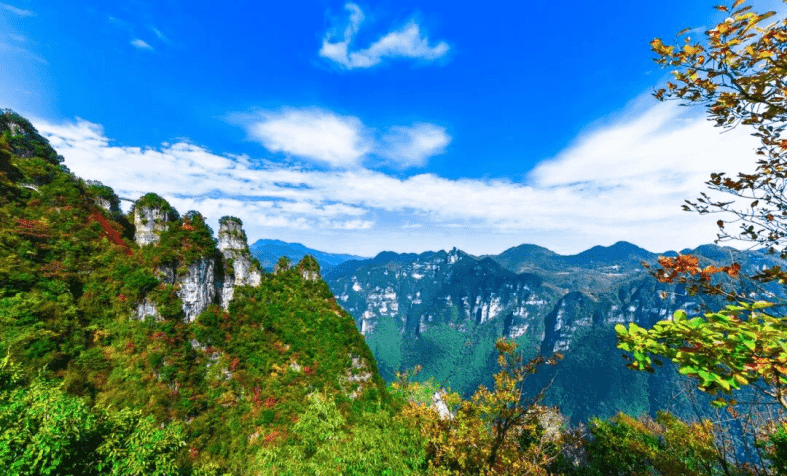 d91c44974ce4462381ff207ae457a530.png d91c44974ce4462381ff207ae457a530.png