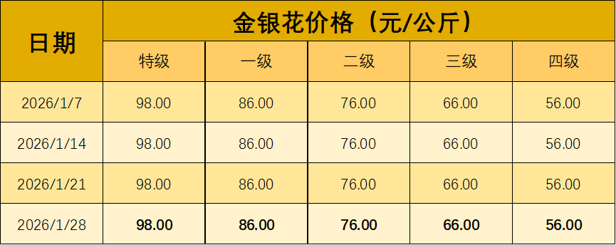 2a82c63437d34f5293779efd2125731b.png 2a82c63437d34f5293779efd2125731b.png