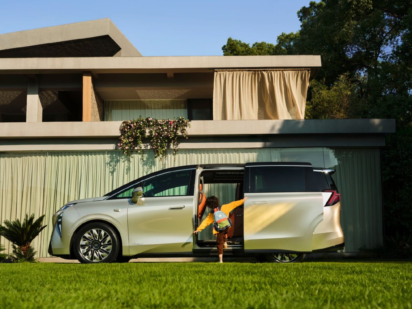 image003.jpg image003.jpg