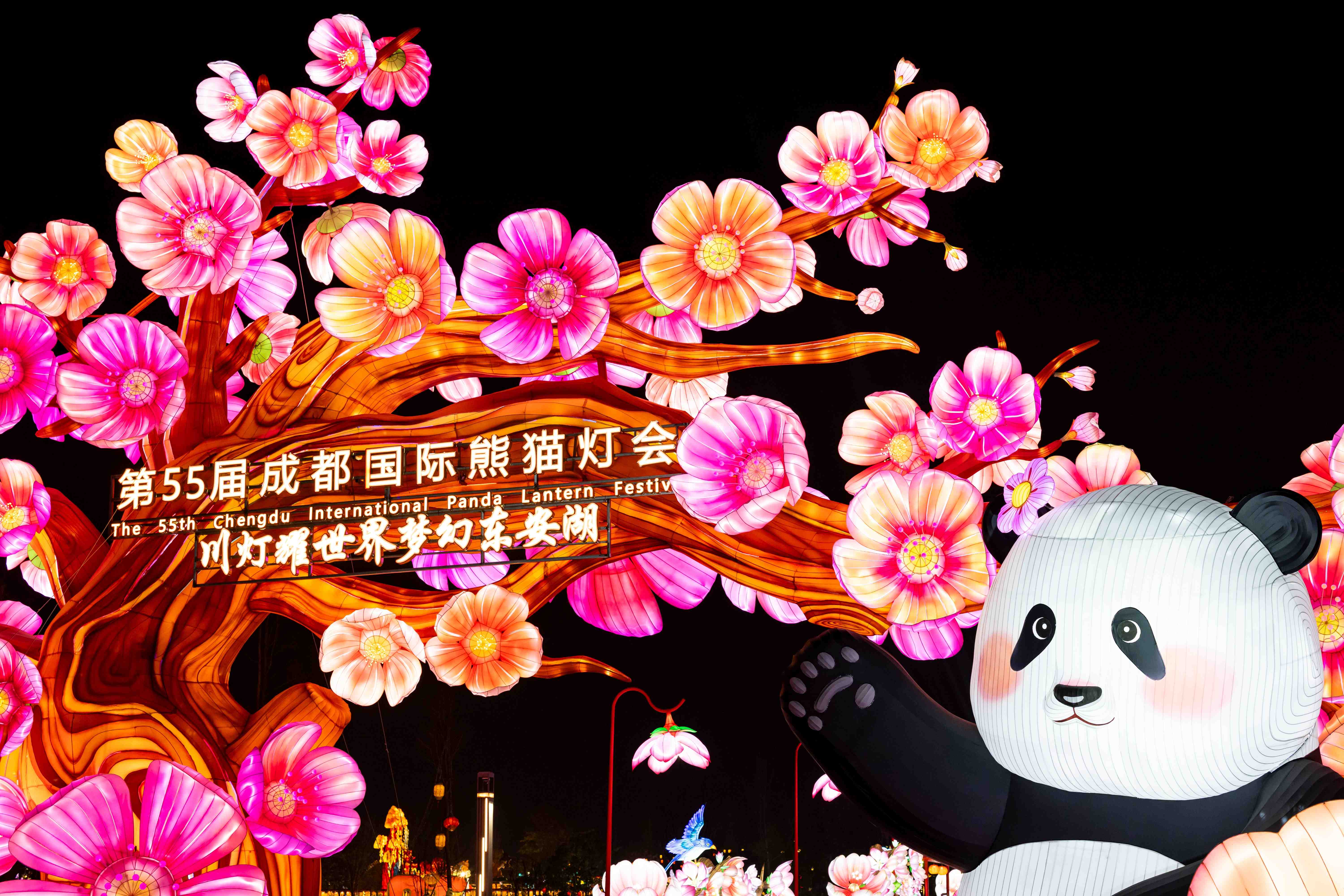 11.jpg d6ef0d821b4a46cb9ac32d52866ca4a2.jpeg