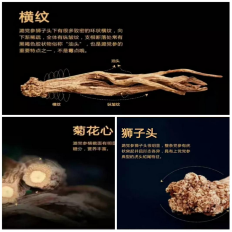 0b491126-fd5d-4a9a-a350-f957fb3f54d4.png 0b491126-fd5d-4a9a-a350-f957fb3f54d4.png