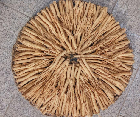 fe64e6d9-c5c8-45ed-9ccd-75cc4ea7d836.png fe64e6d9-c5c8-45ed-9ccd-75cc4ea7d836.png