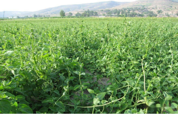 f89446bf-7413-41d0-8b3a-4df0d1a3cf24.png f89446bf-7413-41d0-8b3a-4df0d1a3cf24.png