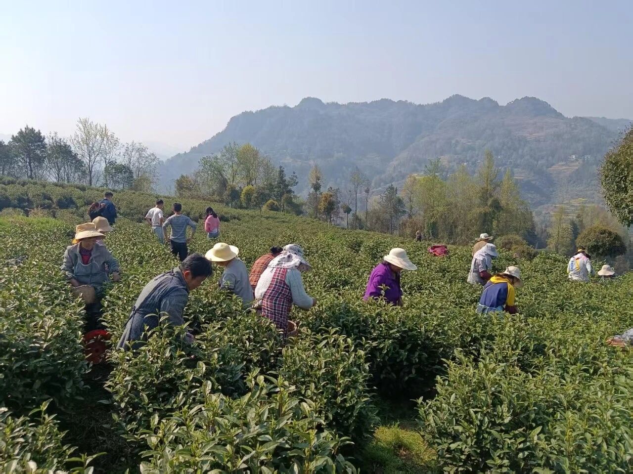 00c8879394f94631a1b4902062c42abc.jpeg 00c8879394f94631a1b4902062c42abc.jpeg