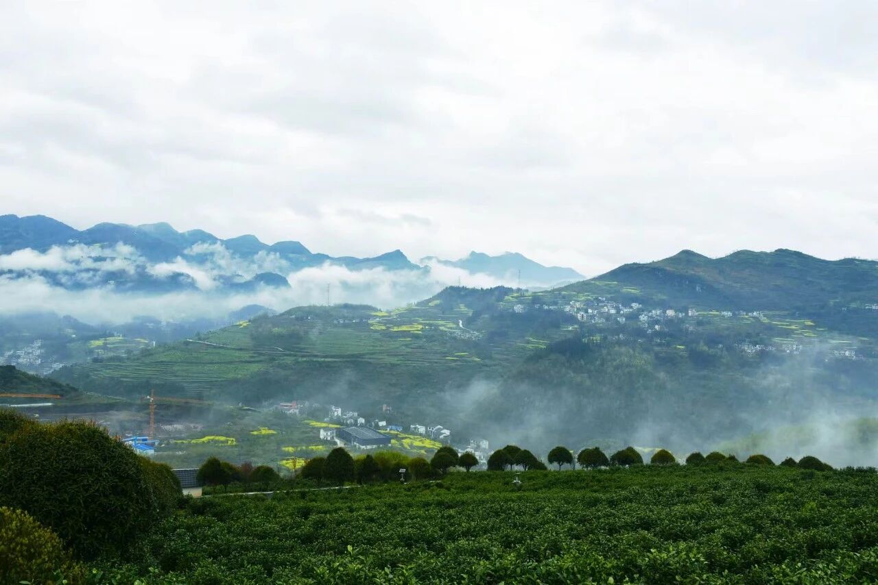 67d8f2af17454254b371d510091071d6.jpeg 67d8f2af17454254b371d510091071d6.jpeg