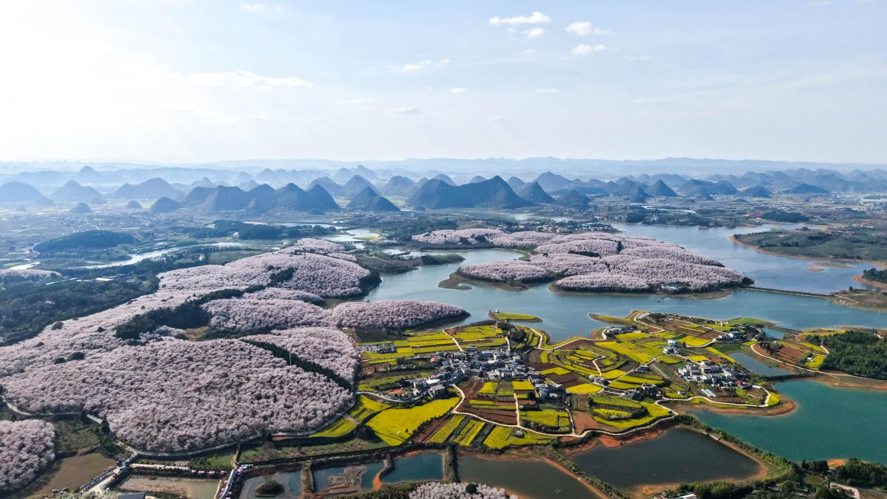 图片1.png cd8cd4f09498494aa798dc9d617e43b0.png